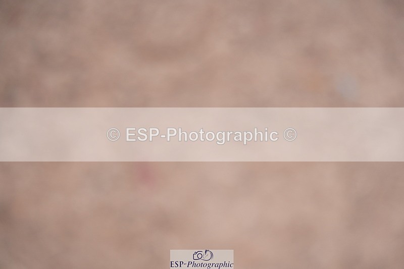 240802A-125632-04498 - Cls 17 Grade C Champs