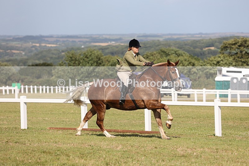 JPP_2941 - Class 20: Working Hunter 70cm