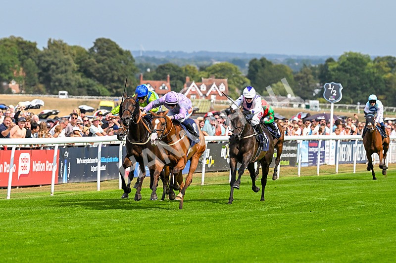 240825-Race 1-Light Speed-1434 - Race 1