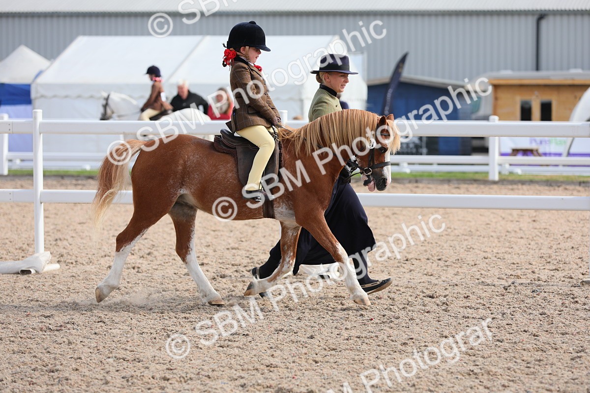 SBM_13988 - Class 309 Lead Rein Pony