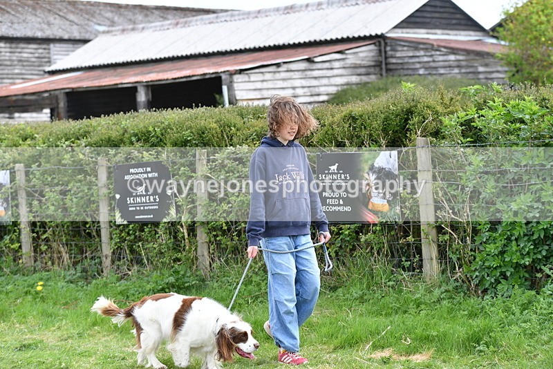 WJ5_9950 - Class 5 Best Veteran / 7 years & over