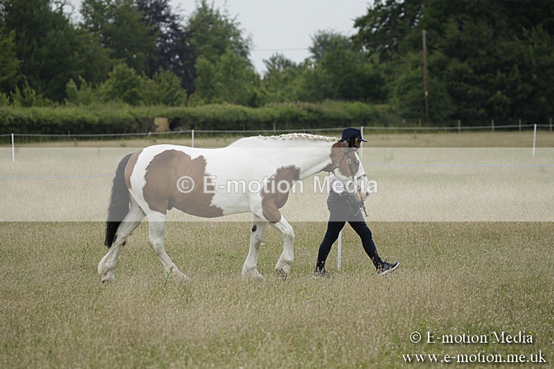 B230619-0725 - Bourne Valley Riding Club Summer Show 23/06/19