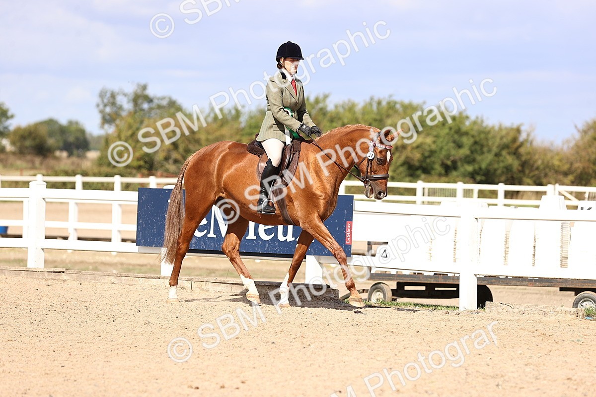 SBM_14339