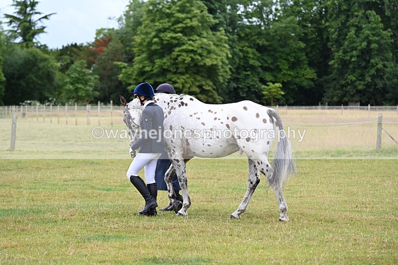 WJ6_8756 - Class 10 Coloured in-hand