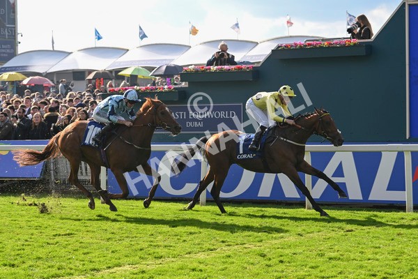 121024-Race 2-Bolster-2800 - Race 2 2.05pm Coral Daily Rewards Shaker Handicap