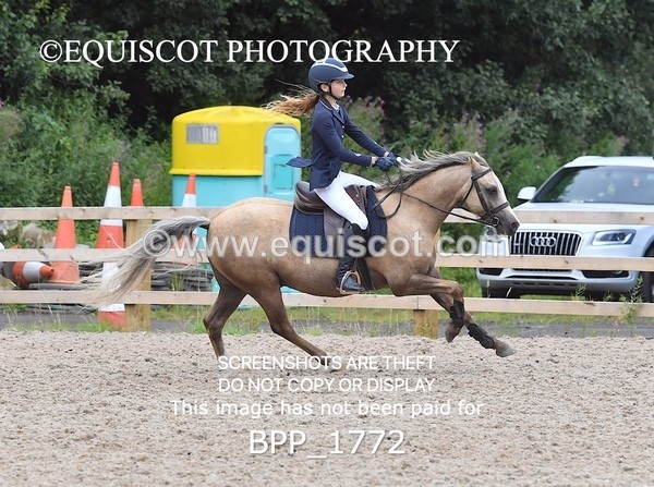 BPP_1772 - DERBY CLASS 5 - 60CM