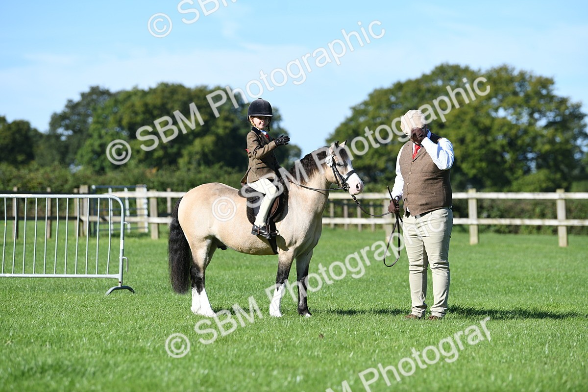 SBM_36761 - S18 - Novice & Newcomers Lead Rein Pony