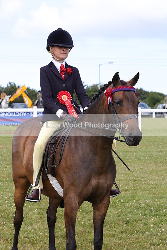 1X9A3926 - Class 31: Show Pony 148cm and under