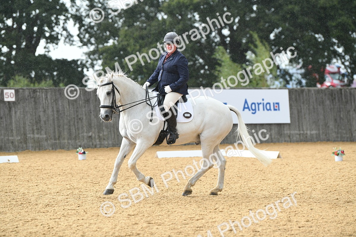 SBM_11138 - D28 Elementary Taster Elementary 42