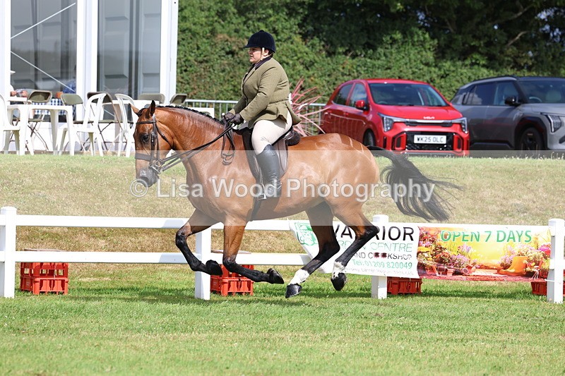 3E7A9445 - Class 4: Rising Star M/H Hunter