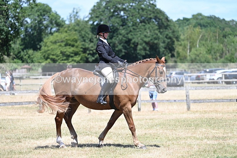 WJ7_2984 - Class 7 Riding Club Show Horse