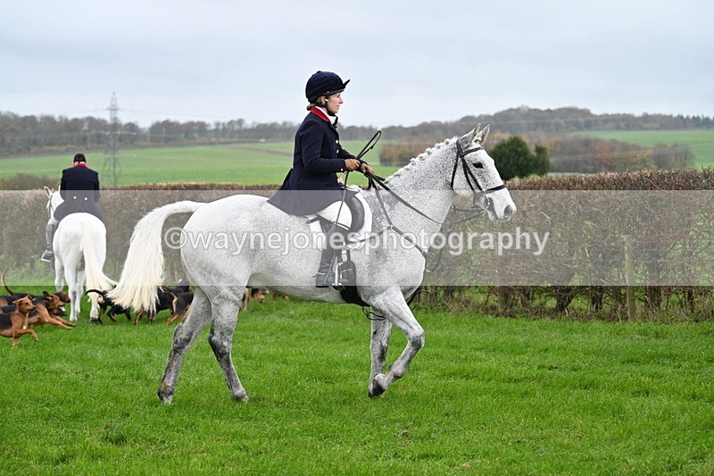 WJ7_8764 - Meet Staff & Hounds