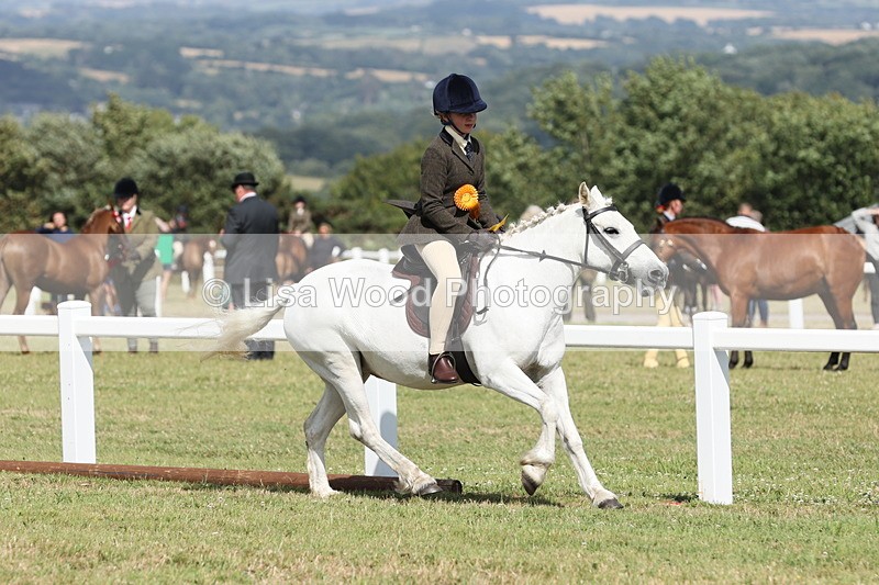 JPP_2474 - Class 19: Working Hunter 60cm