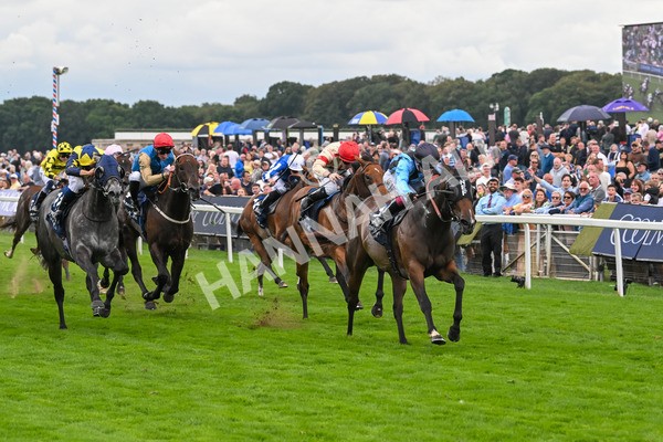 220825-Race 4-Asfoora-7522 - Race 4 3.35pm Coolmore Wootton Bassett Nunthorpe Stakes
