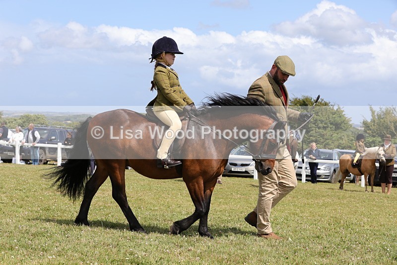 1X9A5194 - Class 36: NPS M&M Lead Rein