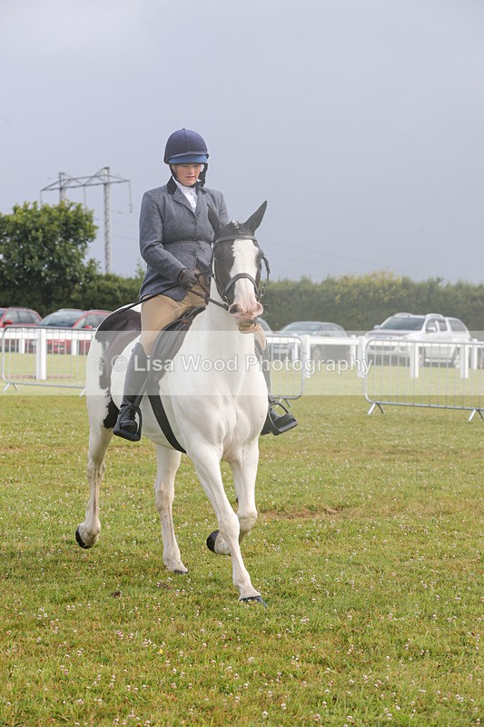 1X9A3064 - Class 26: Ridden Plaited Coloured Pony