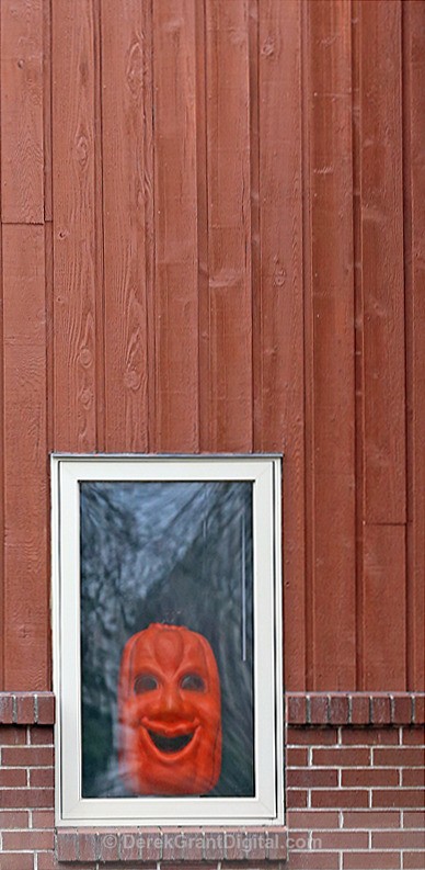 The Scream Halloween Decoration - Autumn Festival