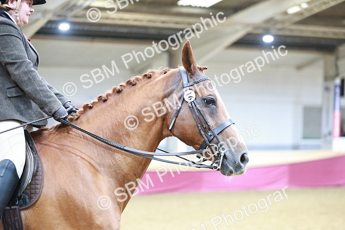 SBM_08997 - Class 12R - Regional Ridden Pre-Vet