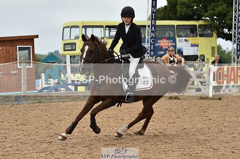 230902A-113152-00743 - Cls 2B Pony Small 80cm