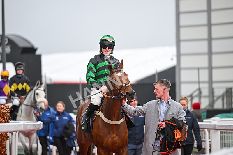131224-Race 5-Seddon-9306 - Race 5