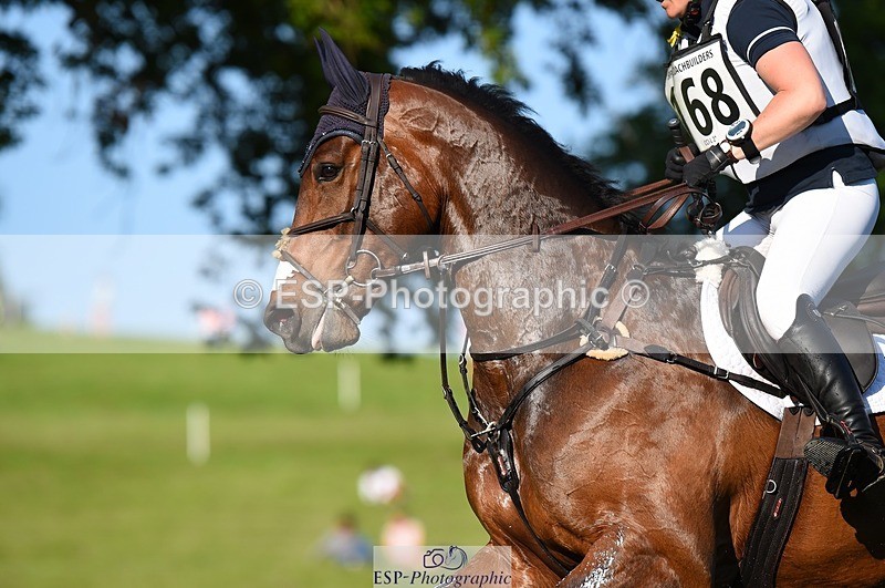 230527-180228-13711 - 168-PARKFIELD_ARTIE_BLOU-Laura_Collett-XC