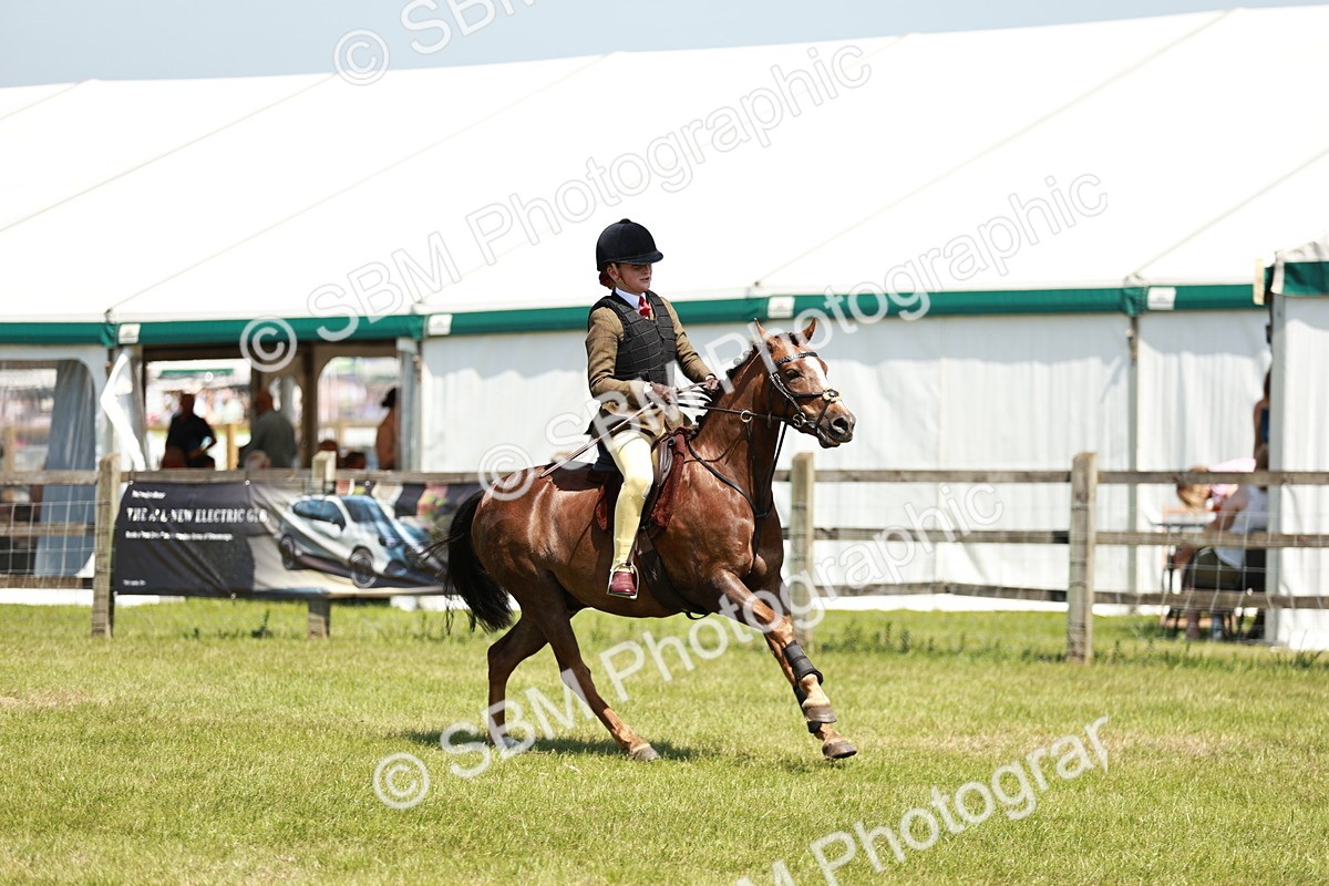 SBM_15571 - Class 108-109 - BSPS LIHS Open Gradle & Nursery Stakes