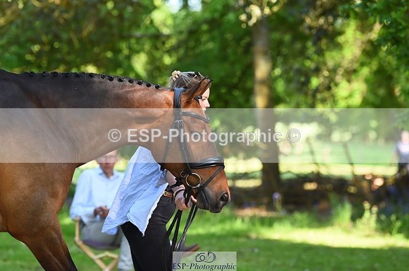 230524-164756-01096 - 115-RNH_ULTIMATE-Harriet_Wright-WEDTrotUp+DR