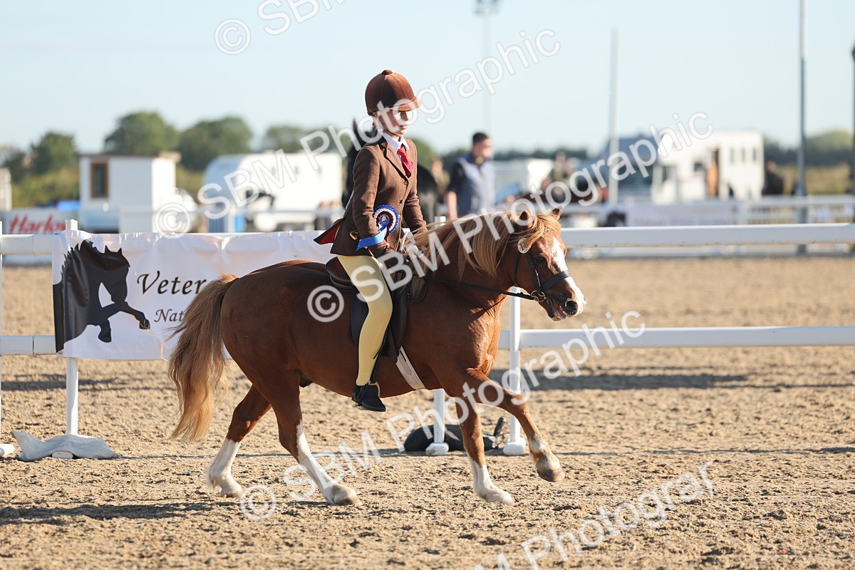 SBM_10944 - Class 301 - Ridden M&M Small Breeds