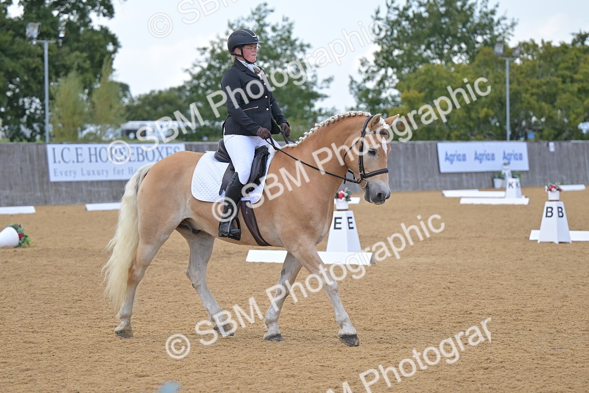 SBM_11146 - D3 - Small Tour Championship Intro 3