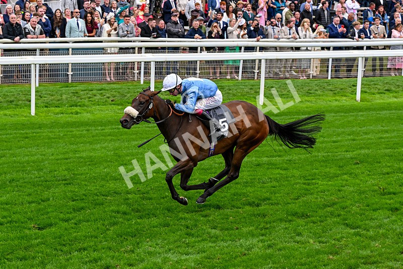 200826-Race 7-Machadadorp-0832 - Race 7 17.20pm British EBF Fillies' Handicap