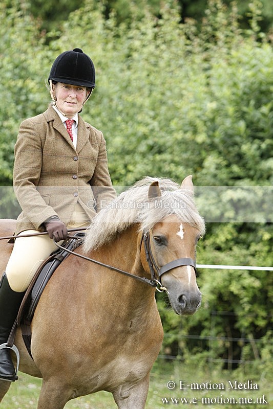 BVR160717-382 - Ring 3 BVRC Show 16/07/17