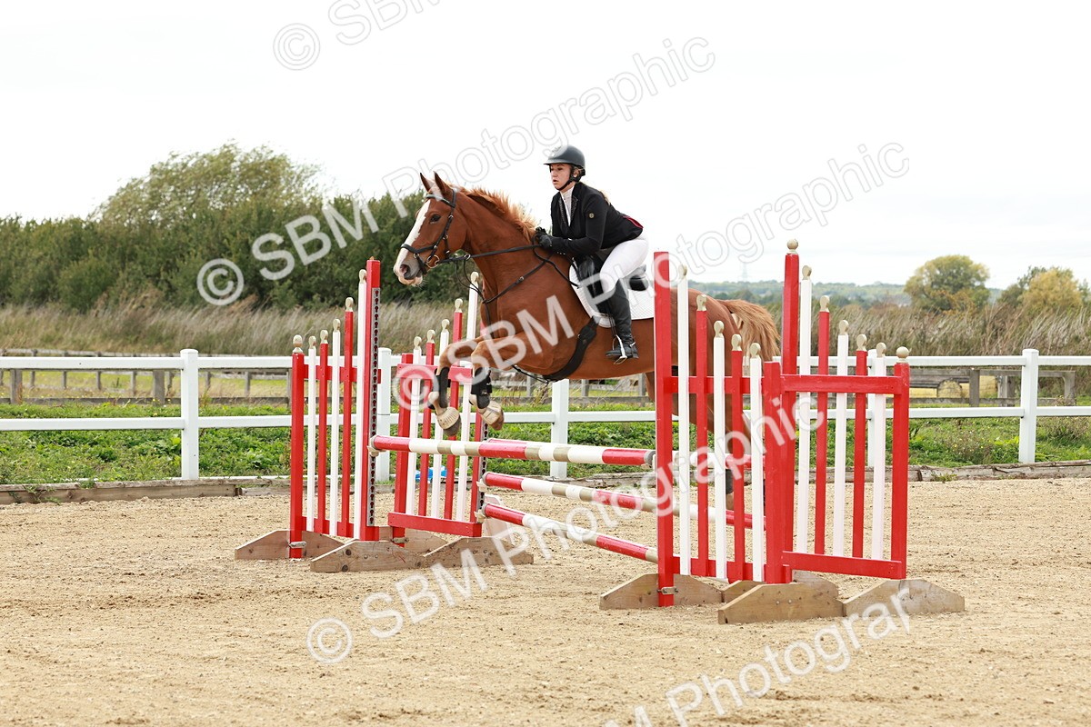 1I0A6769 - Class 2 - Senior British Novice