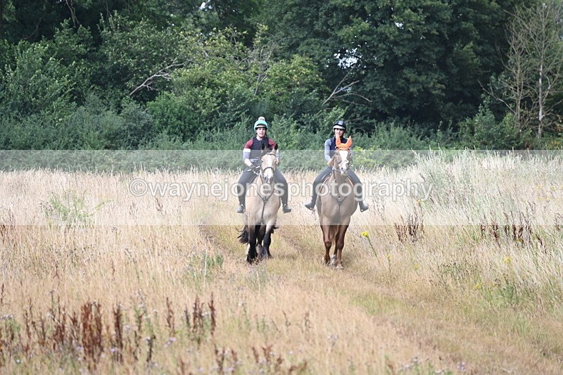 WJ6_2392 - Group 7