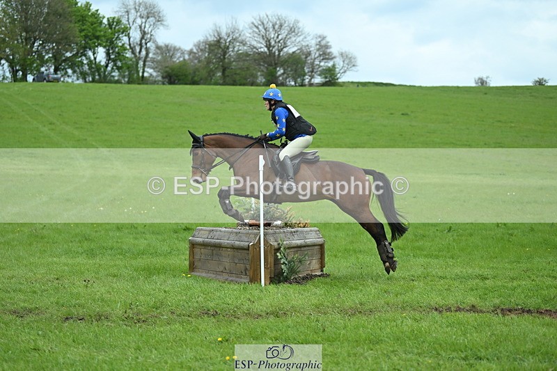 250419-151454-12176 - 717-Helen.Buckland-LIVERMORES.MIDNIGHT.DIAMOND