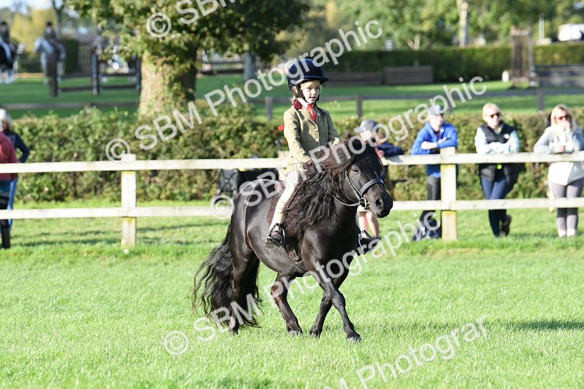SBM_54056 - S23 - 1st Ridden Mountain & Moorland Pony
