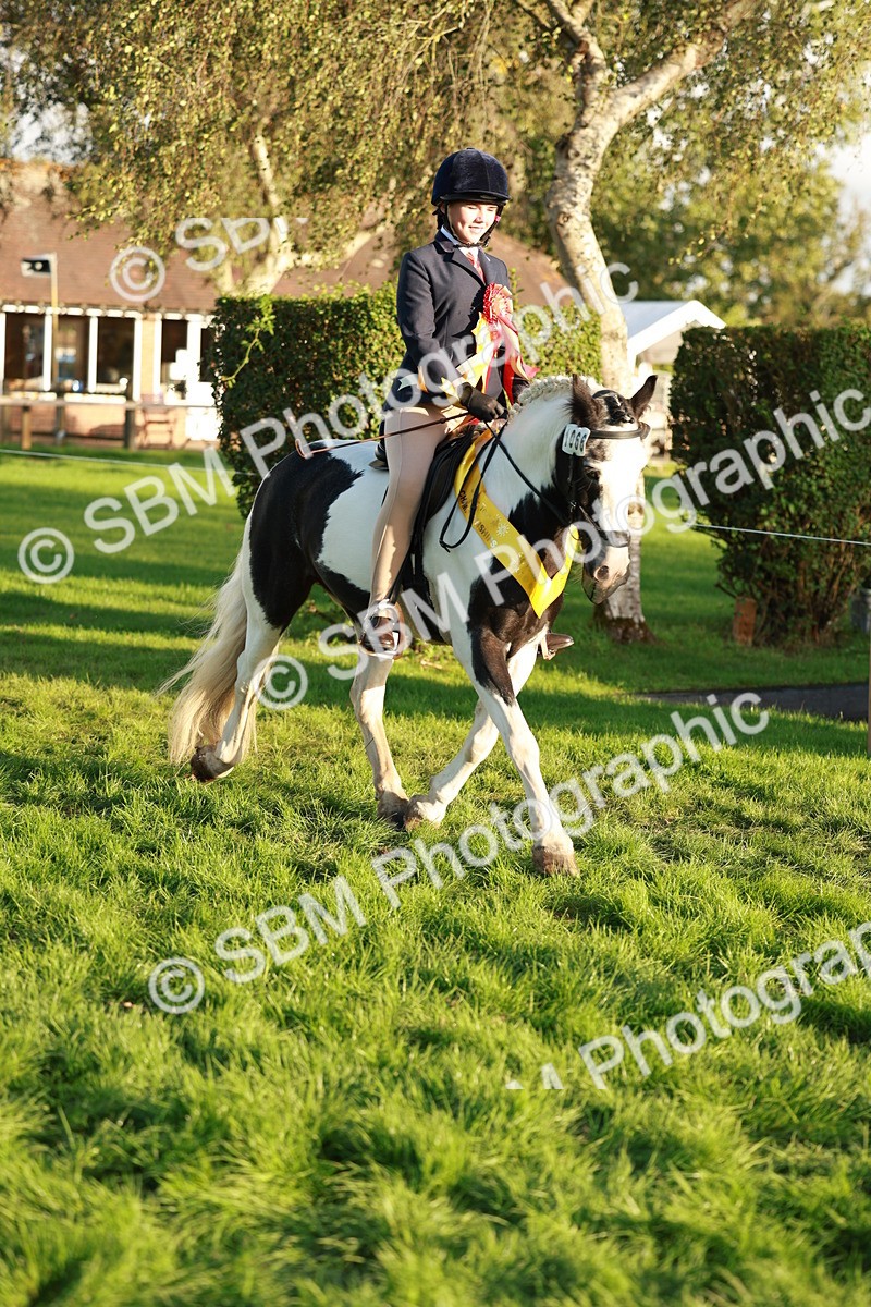 SBM_29347 - Novice & newcomer Supreme Championship
