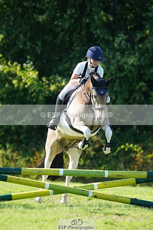 240811A-165612-06475 - 419-