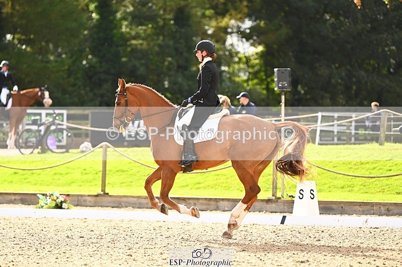 231020-144226-10027 - 309-CROSSTOWN.FINTANS.LAST-Catherine.Burrell-DR