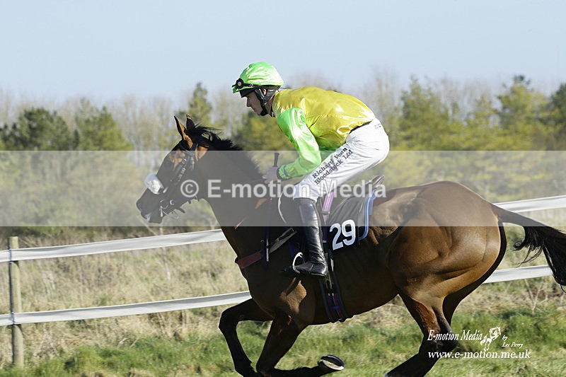PtP 270222 7 - South & West Wilts Point-to-Point Larkhill 27/02/22