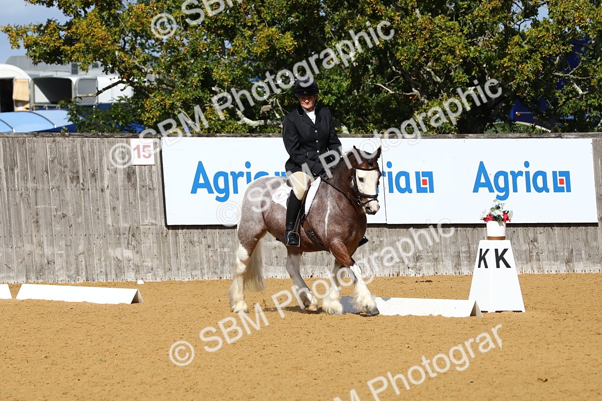 SBM_18378 - D31 - Grand Tour PYO Open .