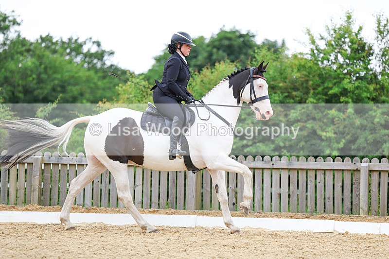 3E7A0817 - Class 6: Novice 1 2024 Section B