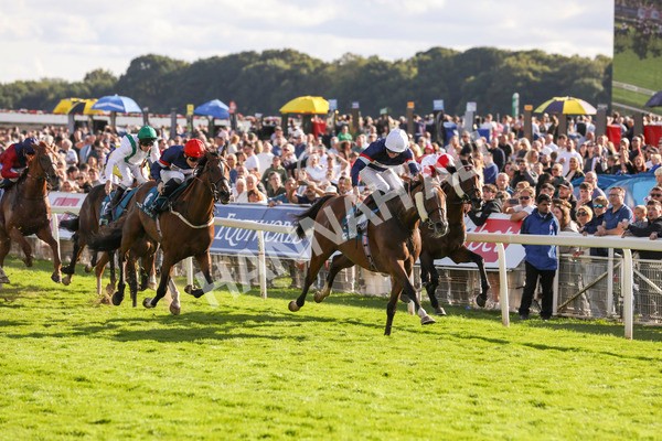 240824-Race 7-Sir Busker-9245 - Race 7 5.20pm Sky Bet Finale Handicap
