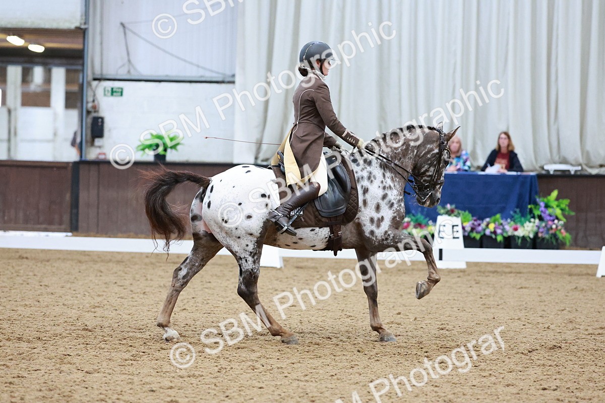 SBM_016600 - Class 5 - FEI INT II - 17.24-18.20