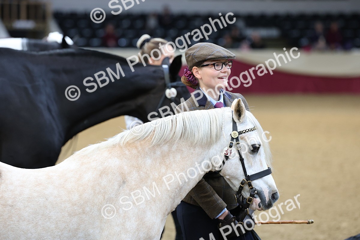 SBM_21850 - Class 901 - Supreme Final - IH  Diamond