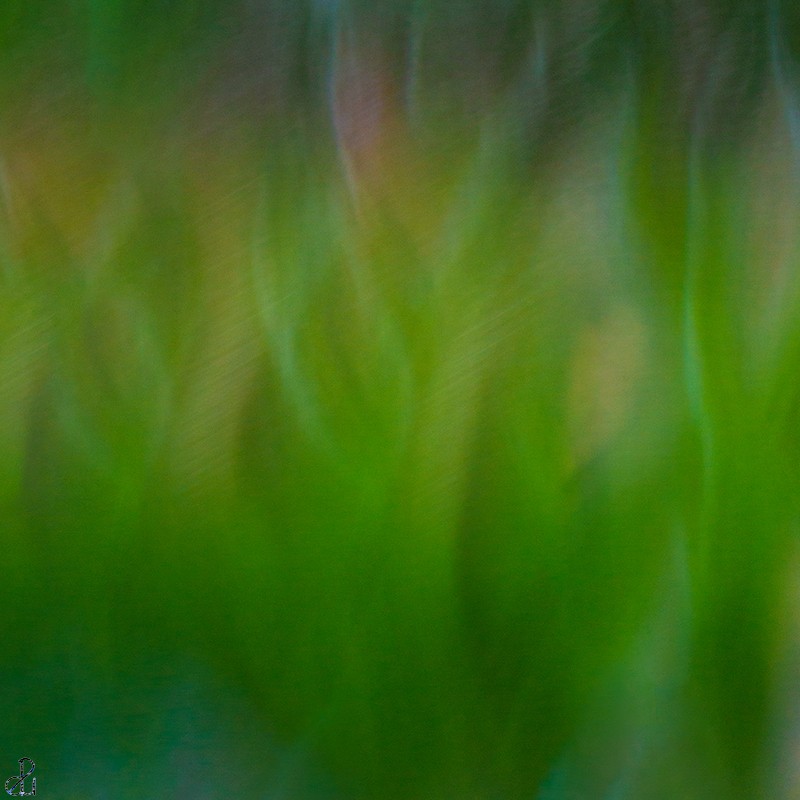 Abstract photography by Diana Uzun