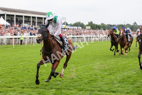 yr20082021r5-23 - Race 5 4.10pm British Stallion Studs EBF Convivial Maiden Stakes (Plus 10 Race)