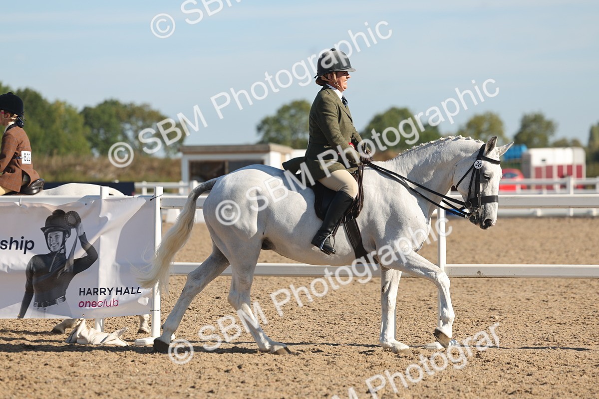 SBM_12264 - Class 303 - Ridden Pure Bred Horse Pony