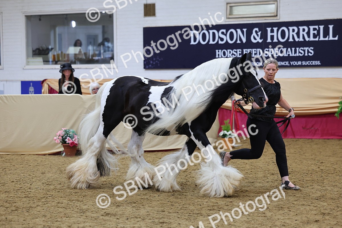 SBM_21108 - Class 902 - Supreme Final IH Veteran