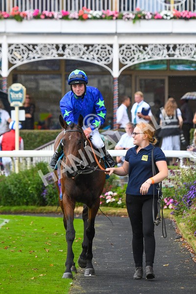 100923-Race 6-Anjo Bonita-1102 - Race 6 4.25pm Hanson Springs 60th Anniversary Handicap at York