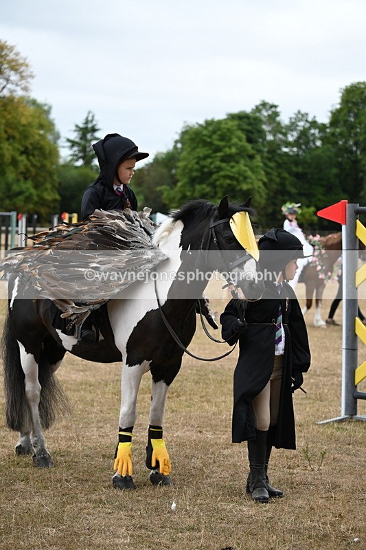 WJ6_8949 - Class 11 Fancy Dress